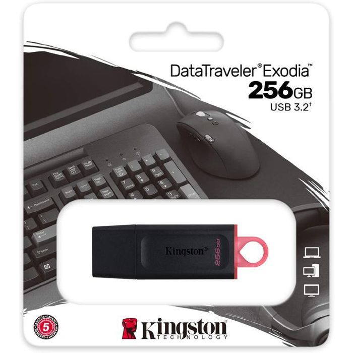 Kingston Clé USB - 256GB - USB Pour Stockage - USB 3.2 - DataTraveler EXODIA M