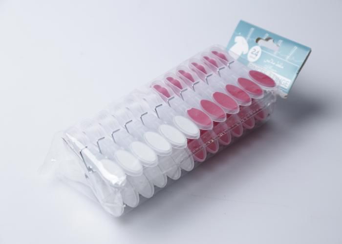Set de 24 pinces à linge en plastique EFC1146