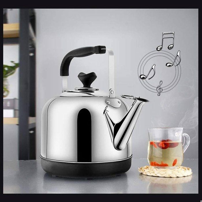 Bouilloire en acier inoxydable brossé pour eau bouillante, bouilloire à thé