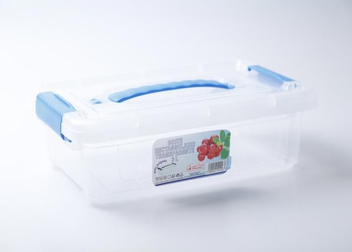 Boîte Rectangulaire 3 L Transparente avec Poignée