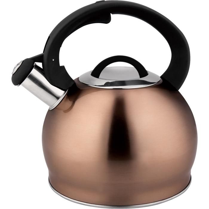 Bouilloire Sifflante 3 L avec Manche Noir