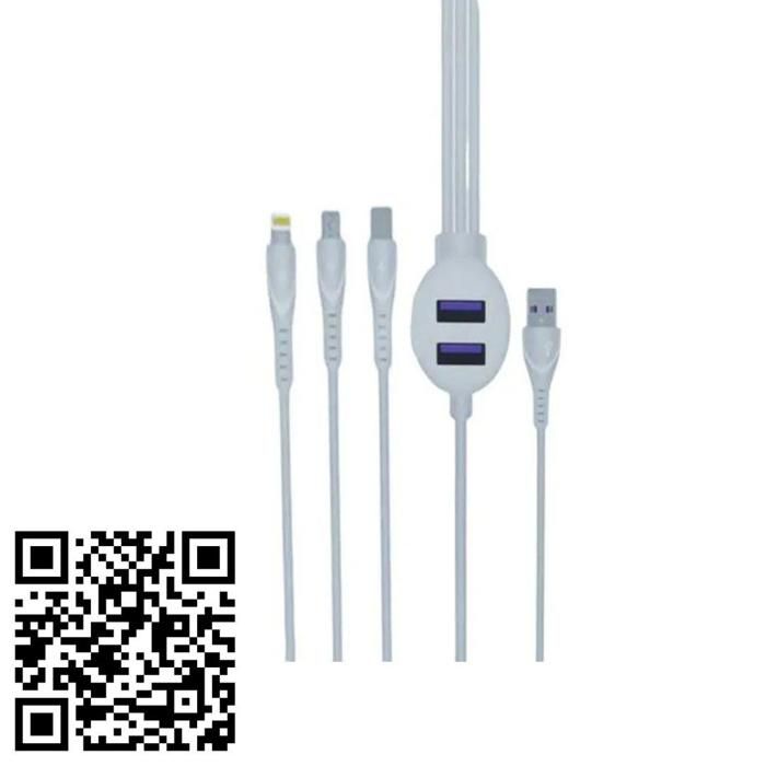 Câble 3 en 1 USB Micro et Type C avec 2 Ports Multiples pour Téléphones Portables