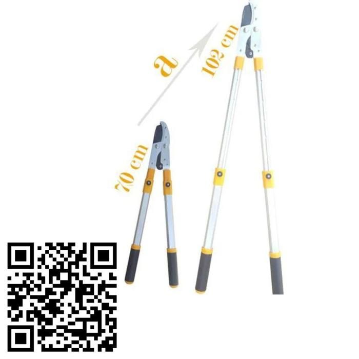 Sécateur - Epica - Ciseaux de Branche - Lame en acier trempé - Poignées Soft grip - Résistant à la rouille