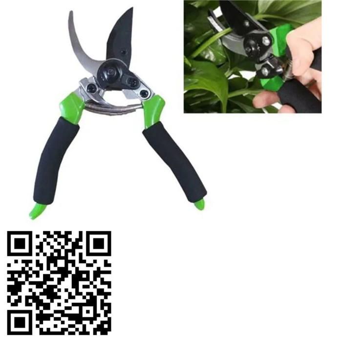 Sécateur - Professionnel - Haute Qualité - Lames Polies - Poignée Ergonomique - Coupe 34 mm