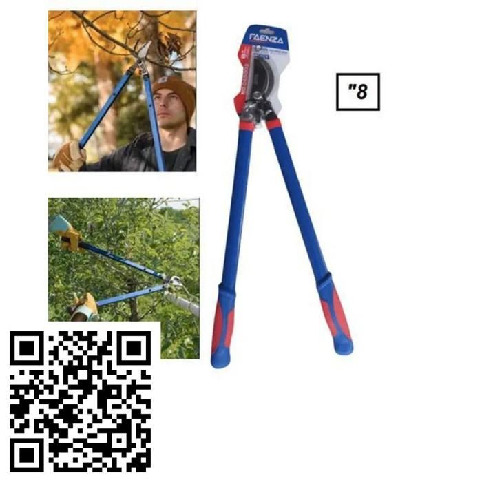 Cisaille de Jardin Professionnelle - Ensemble Coupe Branche Robuste