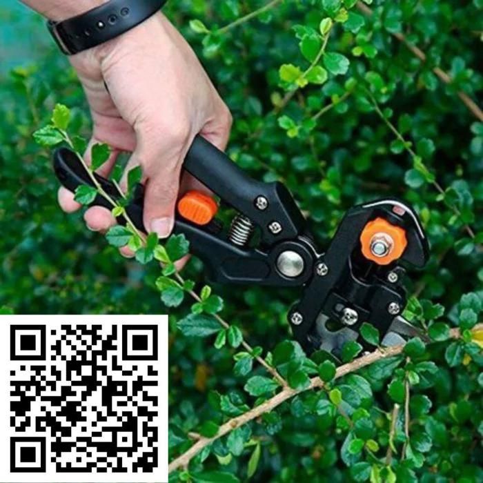 Cisailles de Greffage - Outil Professionnel - Élagage Efficace - Design Ergonomique - Lames Durables