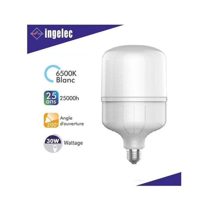Lampe LED High Power 30W E27 - Lumière Blanche