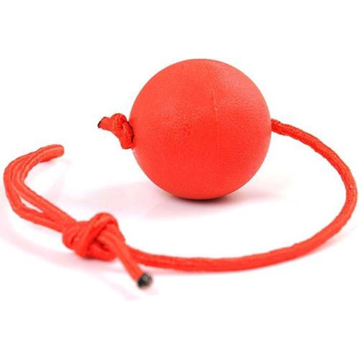 Pet Balle pour chien