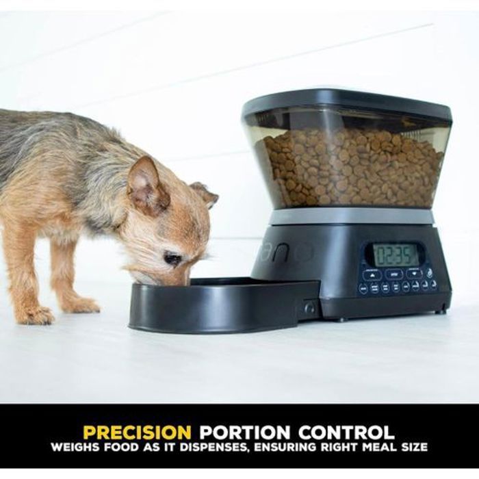 Nano Distributeur de Croquettes pour Chat et Chien automatique avec Minuterie Programmable