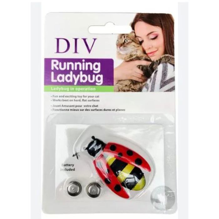 Div Coccinelle électrique pour chats