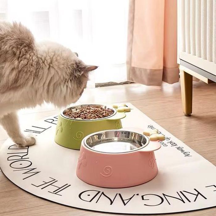 Pet Gamelle surélevée pour chat , gamelle d'eau avec support antidérapant