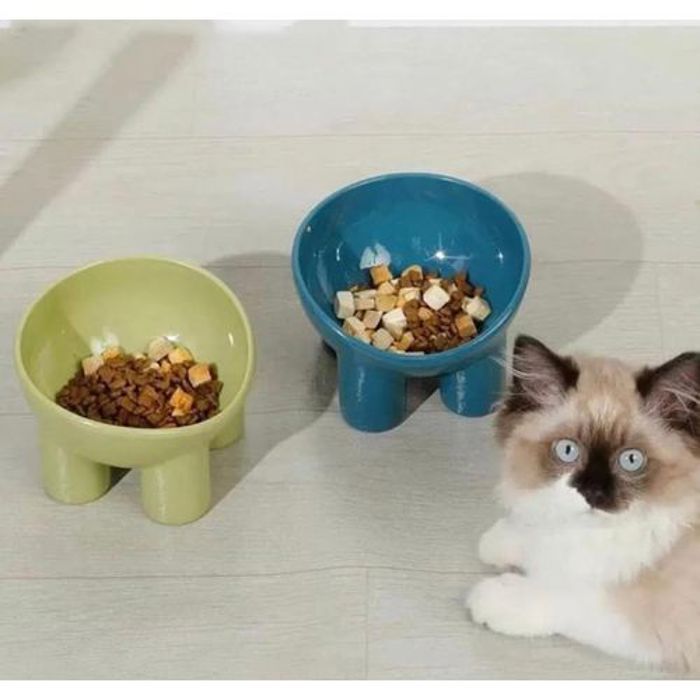 Pet gamelle pour animal de compagnie - Couleur vert- Jambe d'éléphant