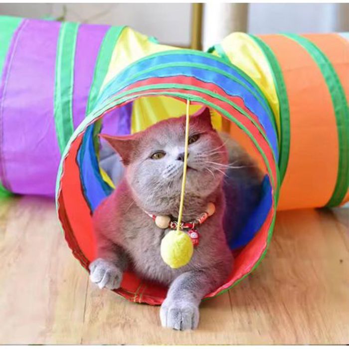 Pet 4 Voies Tunnel Chat, Jouet Chat Tunnel de Jeu avec Sac Rangement