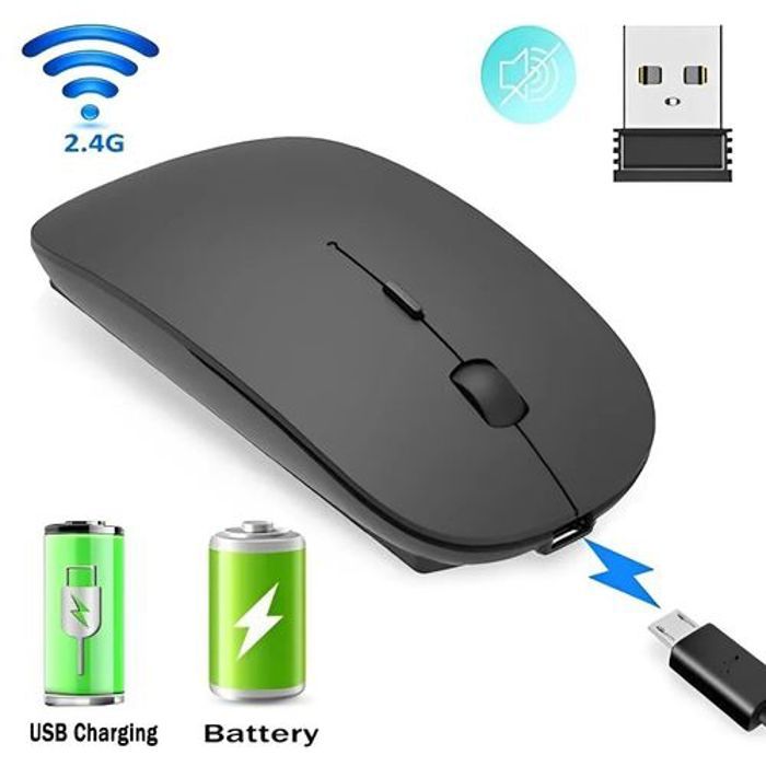 Souris sans fil - Non spécifié - Rechargeable - Ergonomique - Silencieuse - Bluetooth/USB 2,4 GHz