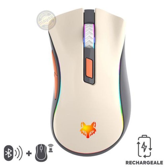 Souris sans fil Double connexion Bluetooth et 2.4GHz Rechargeable DPI Réglable optique sans fil