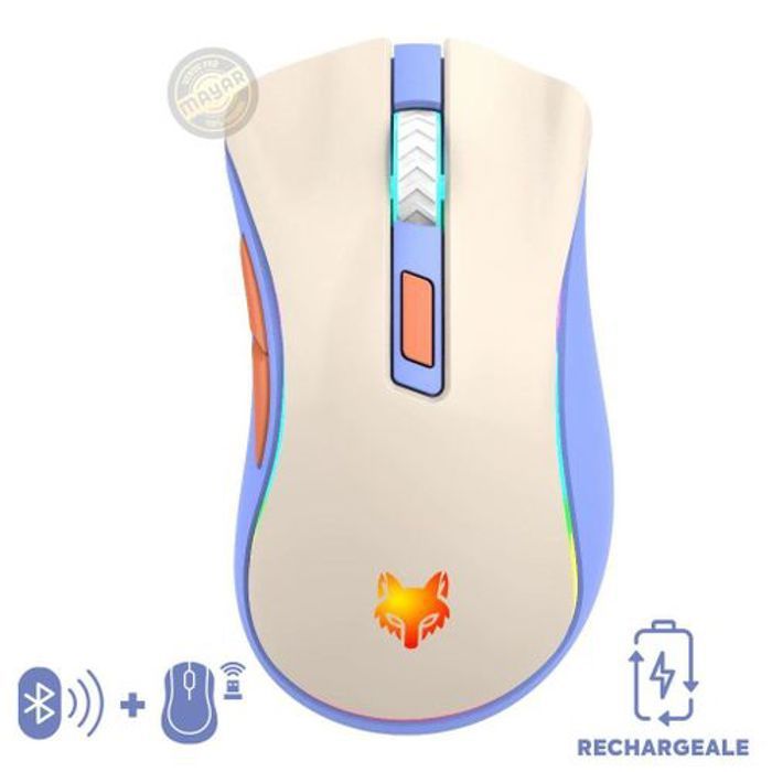 Souris sans fil Double connexion Bluetooth et 2.4GHz Rechargeable DPI Réglable optique sans fil,