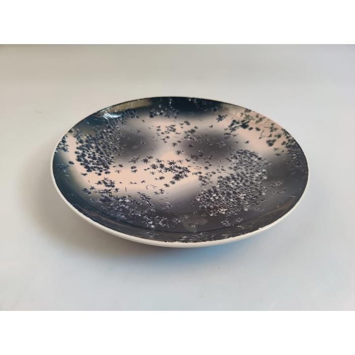 Assiette Plate - GENERIC - 27cm - Porcelaine - Bleu - Compatible lave-vaisselle