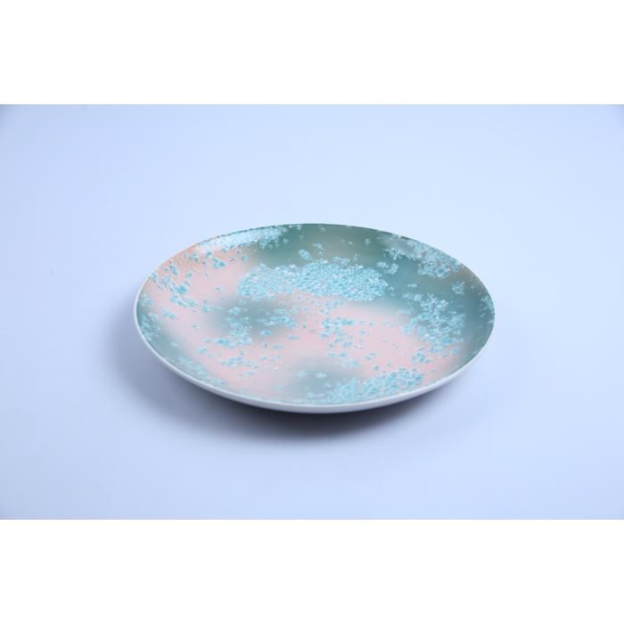 Assiette Plate - GENERIC - Ronde - Porcelaine 27cm - Vert - Compatible lave-vaisselle