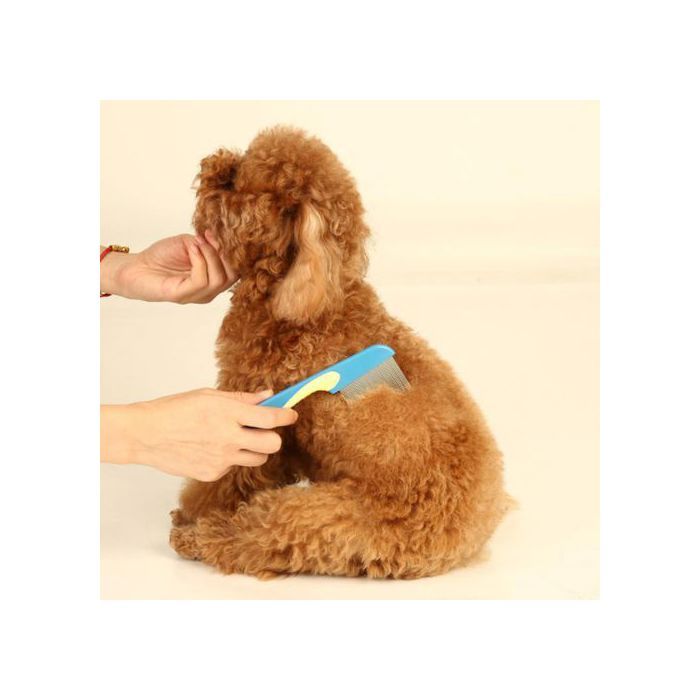Peigne anti-poux pour chats et chiens-,-Brosse anti-poux pour éliminer les poux