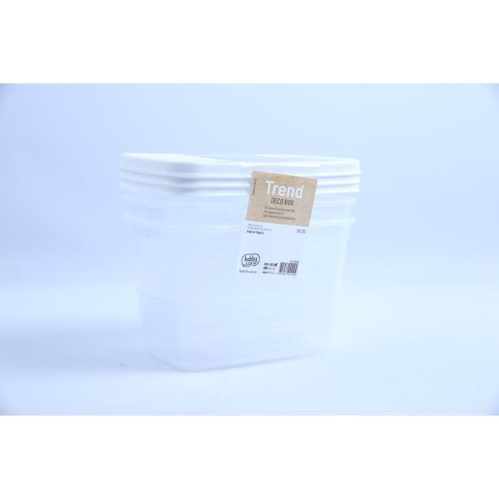Set 3 Boîtes HobbyLife Déco Trend 1150 ml 02 0898