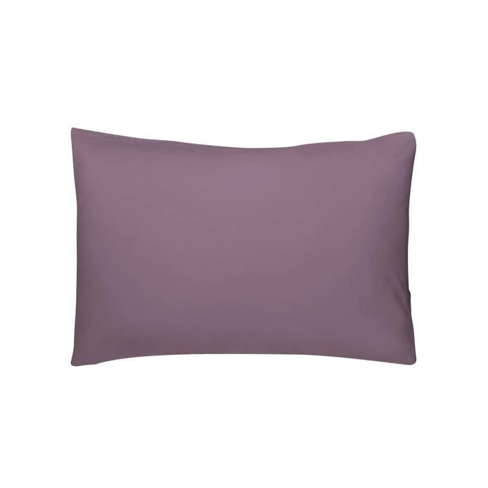 Taie d'oreiller - GENERIC - Éclate - 100% Coton - 50x70cm - Uni - Lava