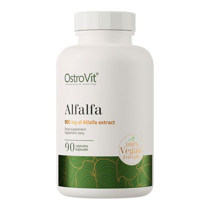 Alfalfa 90 Caps - Source Végétale de Vitamines et Minéraux