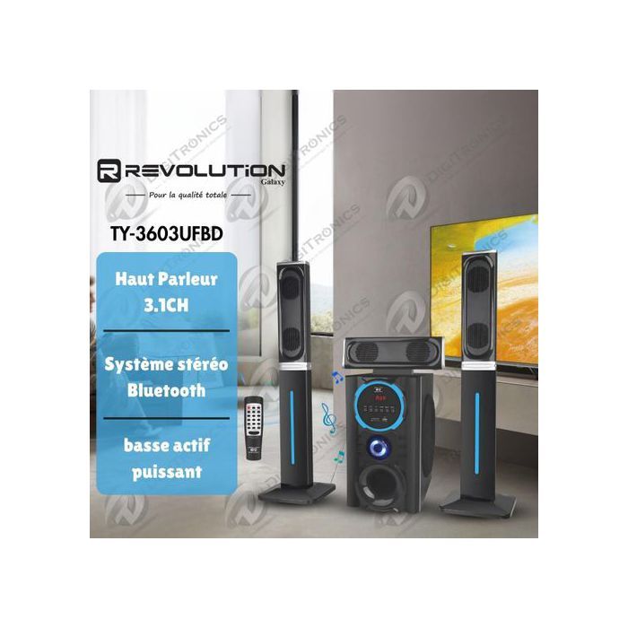 Haut-parleur 3.1CH Bluetooth avec caisson de basse, FM, USB et SD, TY-3603UFBD