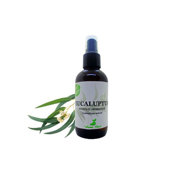 Hydrolat d'Eucalyptus - BIO - 120 ML - Antibactérien - Purifiant - Antiseptique
