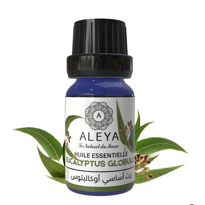 Huile Essentielle - Eucalyptus - 10ml - Purifiante - Antiseptique - Rafraîchissante