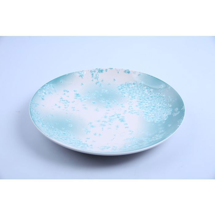 Assiette Plate - MPPP - Ronde - Porcelaine - 30cm - Vert/Blanc