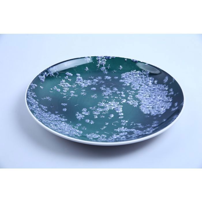 Assiette Plate - MPPP - Ronde - Porcelaine - 30cm - Vert