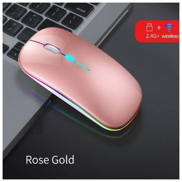 Souris sans fil double Mode de connexion Bluetooth et 2.4G silencieux DPI réglable 600mAh Rechargeable RGB lumineuse Blanc