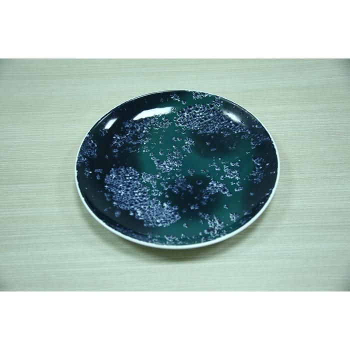 Assiette plate ronde en porcelaine décorée 27 cm (MPPP10)