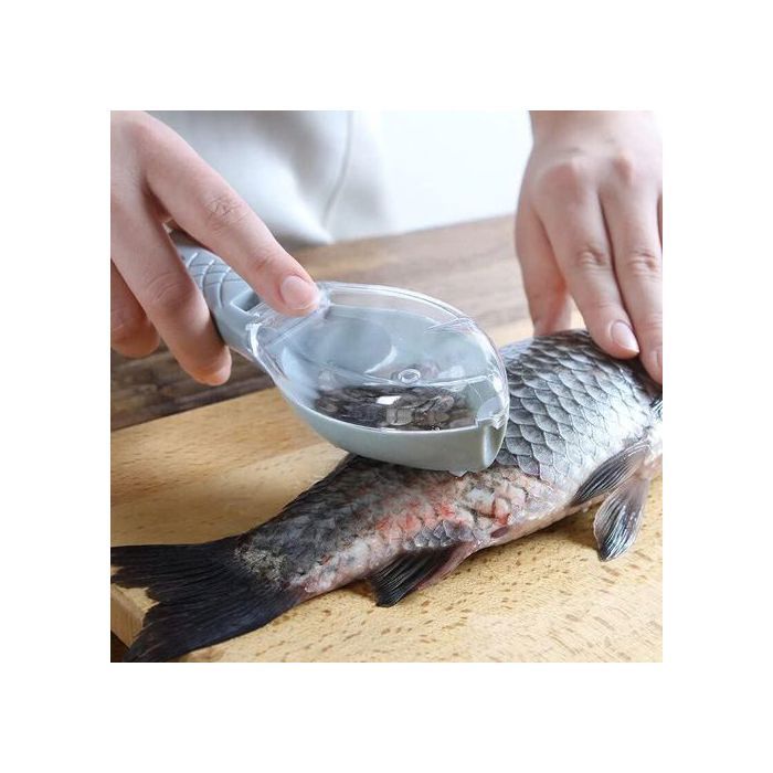 Un outil Pratique pour Enlever les Écailles de Poisson