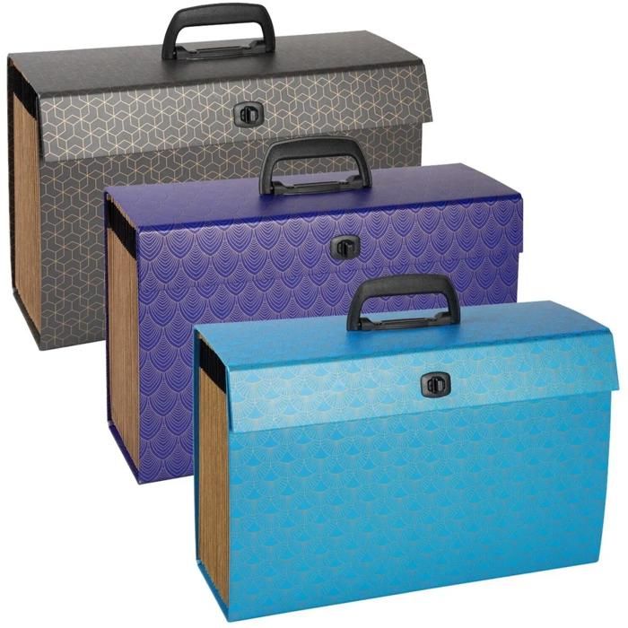 Trieur familial avec poignée 20 compartiments Arty modèle aléatoire - EXACOMPTA