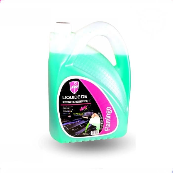 Flamingo Anti-Gel 5L Vert SP555