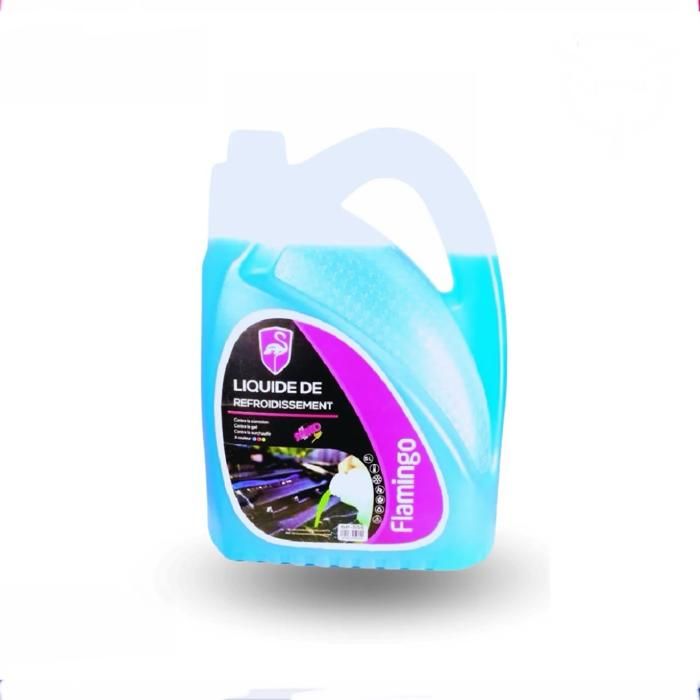 Flamingo Anti-Gel 5L Bleu SP555