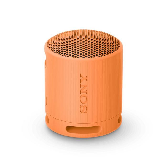 Sony SRS-XB100 – Enceinte sans Fil Bluetooth, Portable Corail