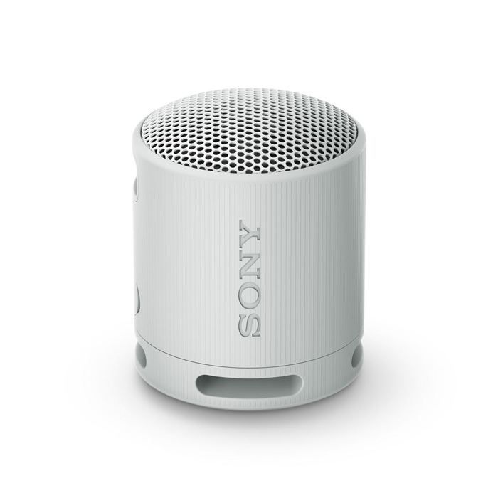 Sony SRS-XB100 – Enceinte sans Fil Bluetooth, Portable Gris