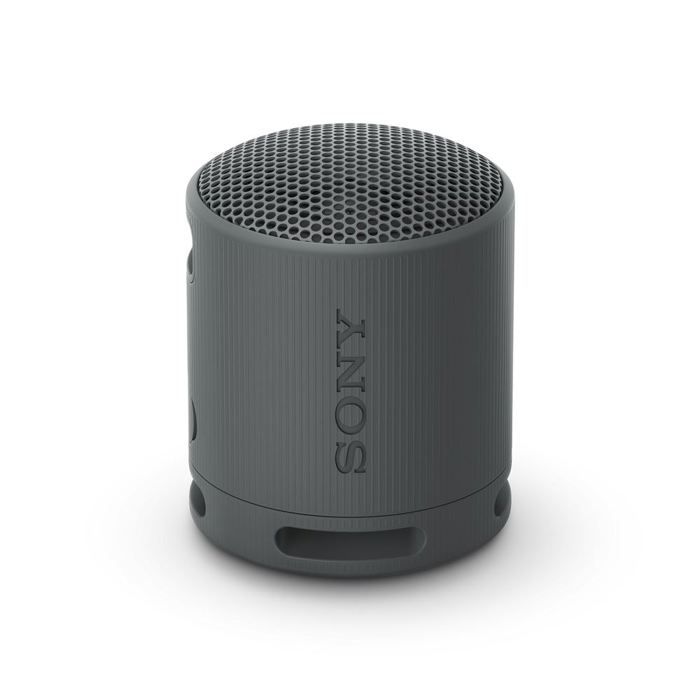 Sony SRS-XB100 – Enceinte sans Fil Bluetooth, Portable Noir