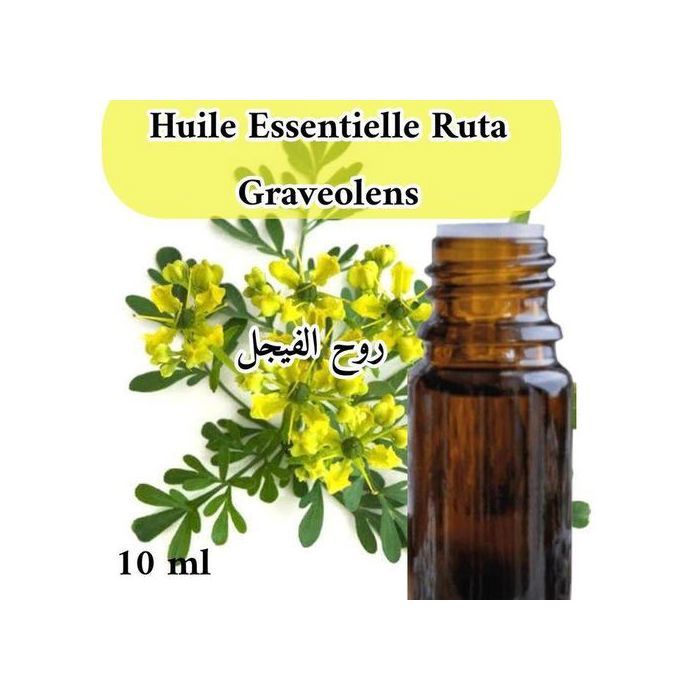 SOLTANIA Huile essentielle de Ruta graveolens 10ml