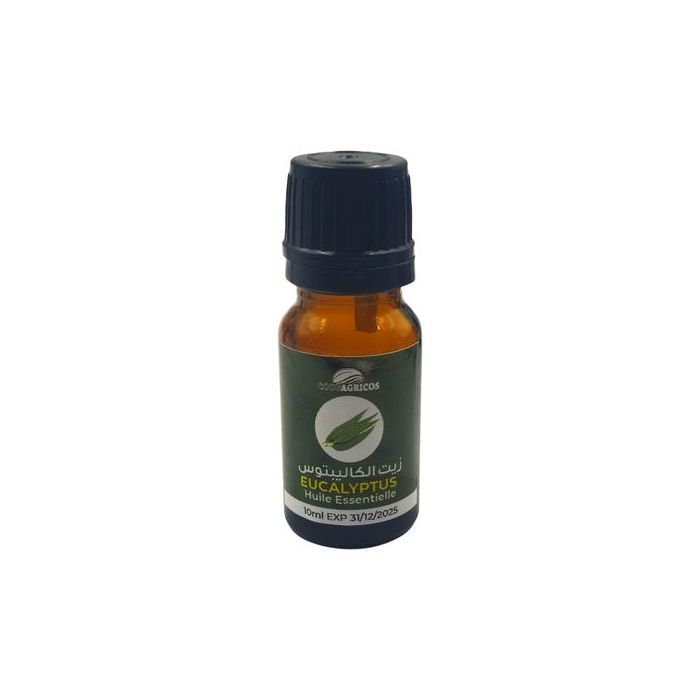 Huile Essentielle d'Eucalyptus 10ML