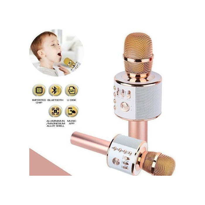 Magique Microphone et hauparleur karaoké bleutooth sans fil 4 en 1 : player rechargeable USB, micro, hauparleur