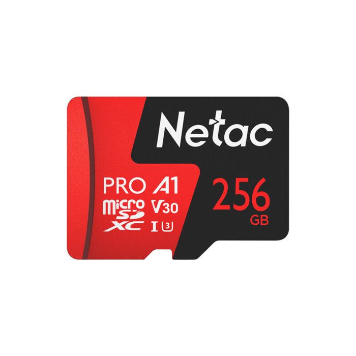 256GB P500 Extreme Pro UHS-I microSDXC Memory Card with SD Adapter (NT02P500PRO-256G-R)