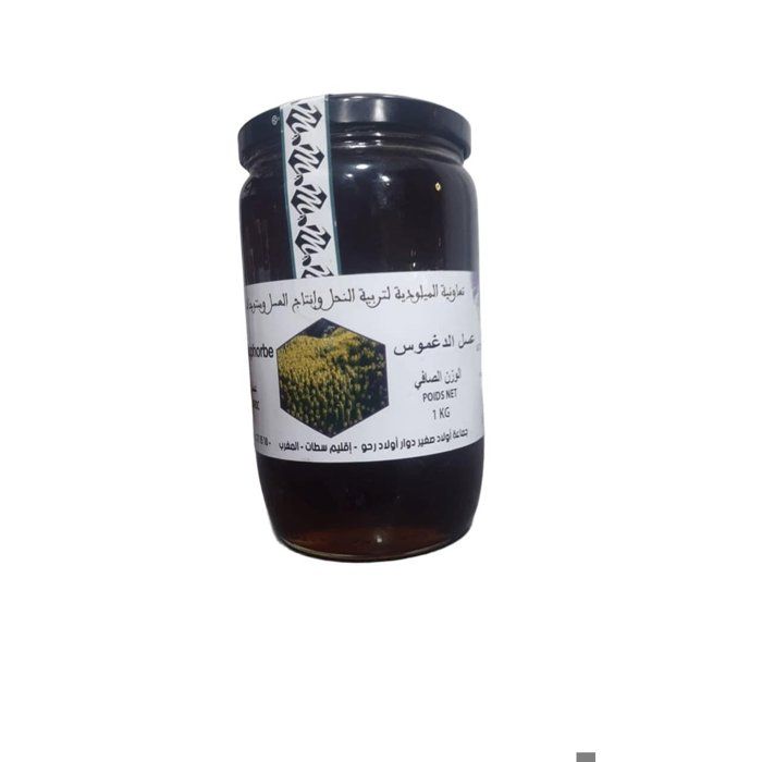 Miel de Daghmous (Euphorbe) – 1 Kg