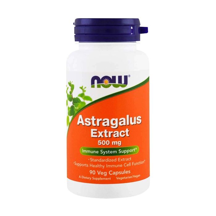Astragalus Extract 500 mg 90 vcaps