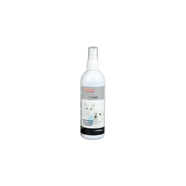 SPRAY SOINS DENTAIRES 175ML