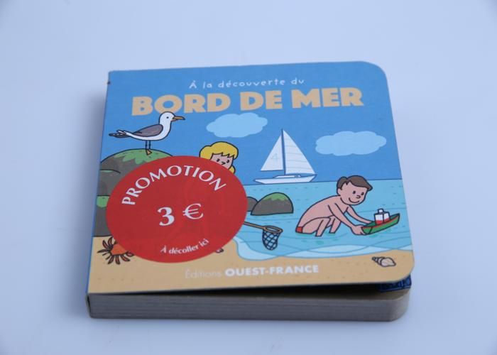 Livre Éducatif - GENERIC - À La Découverte Du Bord De Mer - Illustré - Curiosité Nature - Enfants