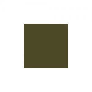 Daler Rowney Graduate acrylique 120ml Raw Umber…