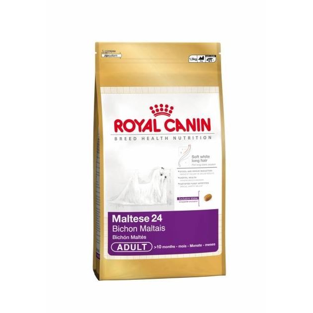 Maltese 24 (1,5kg) Bichon Maltais